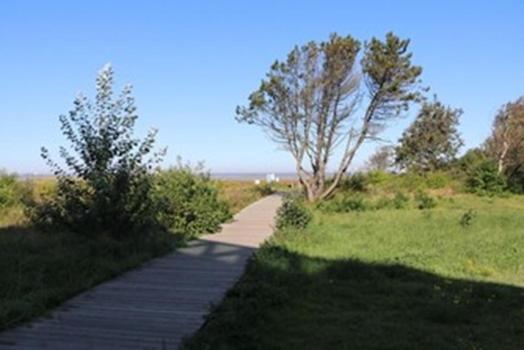 Wald&meer Apartment Cuxhaven