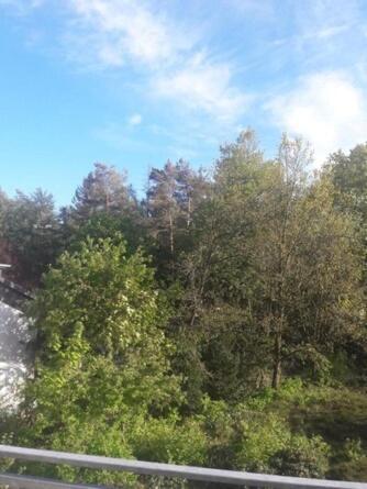 Wald&meer * Cuxhaven